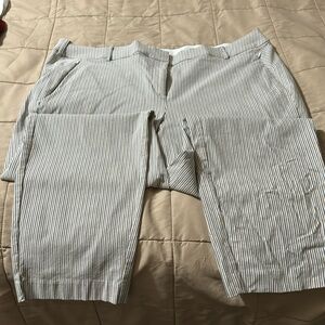 Pin stipe dress pants colors gold, blue and white.